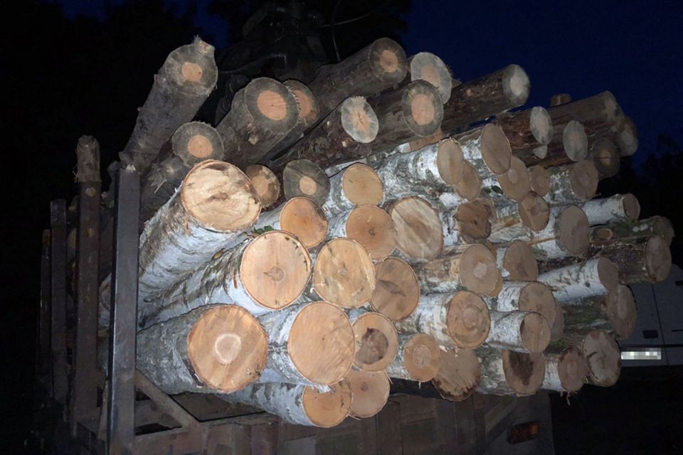 В Олевську зупинили "ЗІЛ" з березовими та сосновими колодами без документів