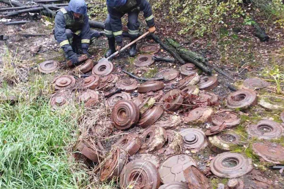 На Малинщині піротехніки знищили два елементи сучасних реактивних снарядів