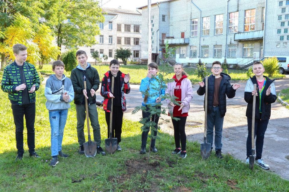 У Житомирі учні ліцею №24 висадили дерева