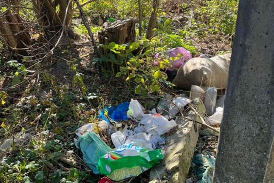 У прибережно-захисній смузі річки Кам’янка в Житомирі виявили несанкціоноване звалище