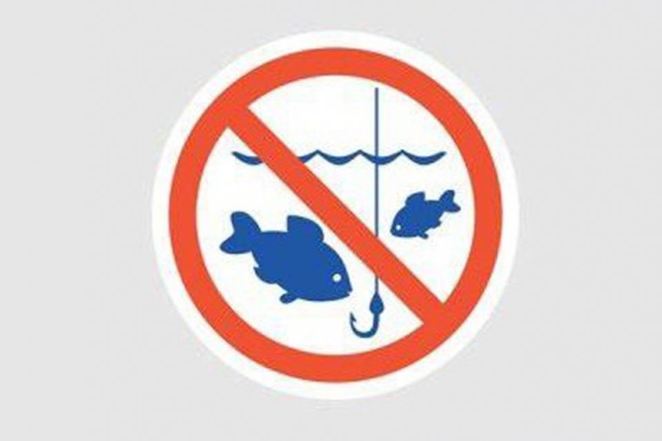 Відсьогодні встановлюється заборона на вилов риби у зимувальних ямах