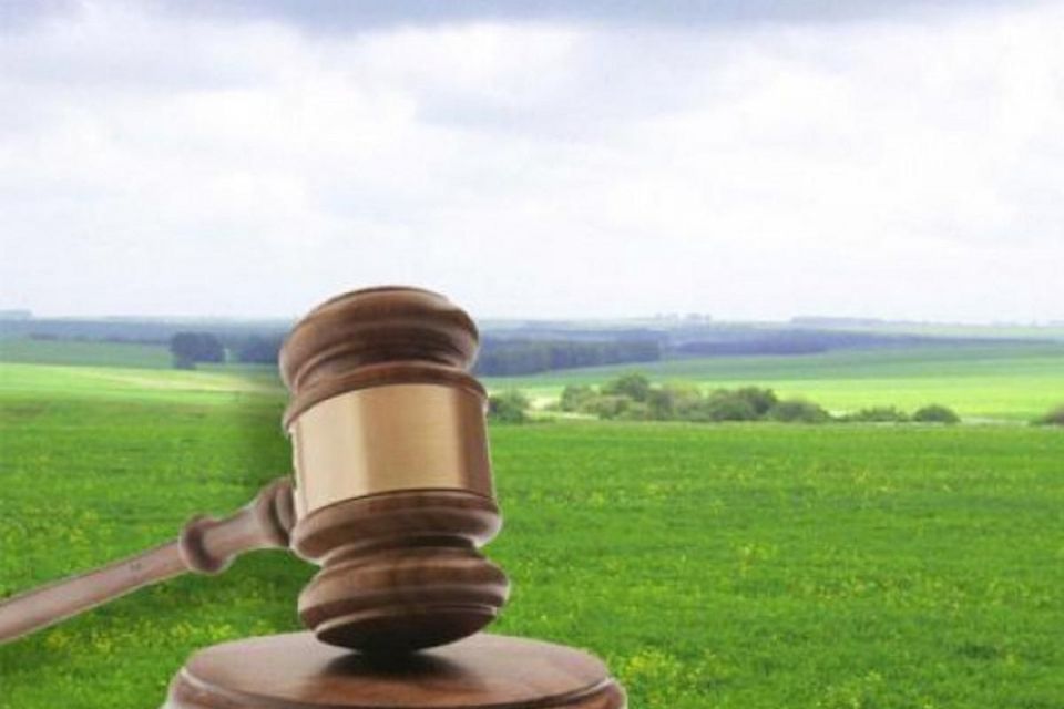 Шість гектарів землі лісового фонду вартістю 60 млн грн передали у приватну власність: прокуратура оскаржує справу в суді