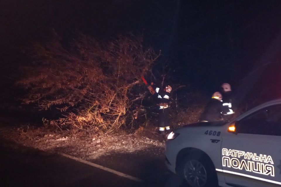 Рятувальники Житомирщини 12 разів за добу надавали допомогу населенню у різних нестандартних ситуаціях