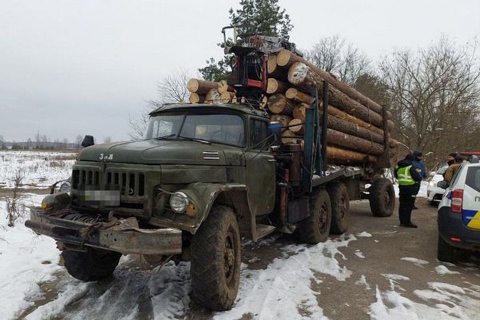 В Олевську та Любарі зупинили вантажівки з незаконною деревиною