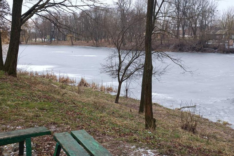 На ставку в Андрушівці врятували жінку, що провалилася під кригу