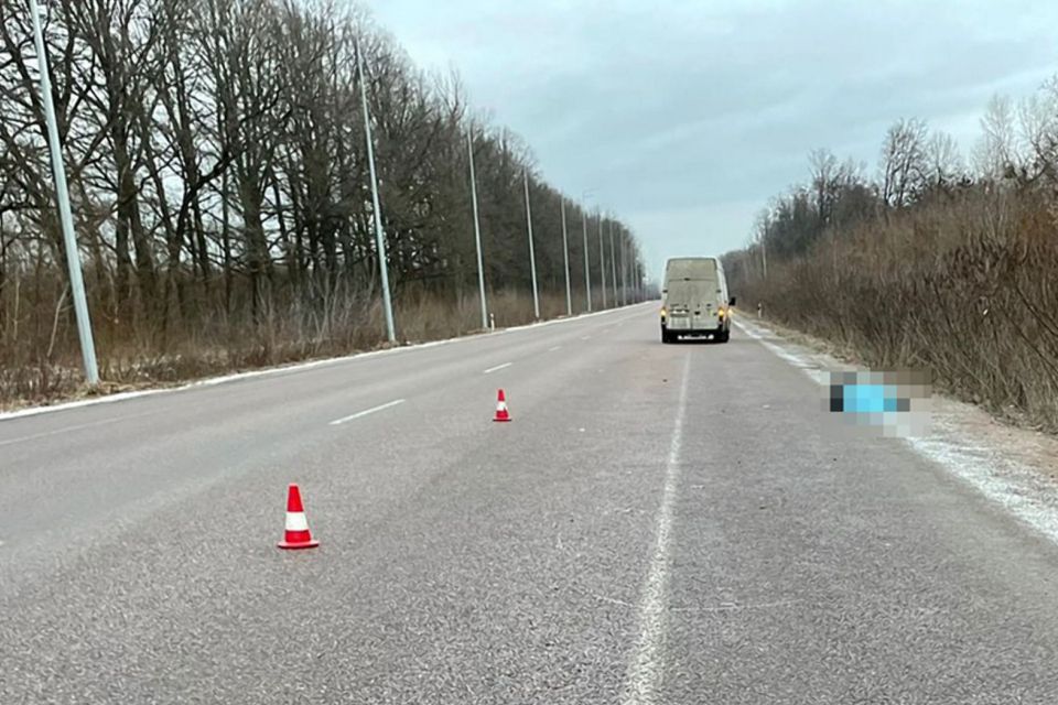 Смертельна ДТП в Оліївській громаді: під колесами автомобіля загинув бердичівлянин