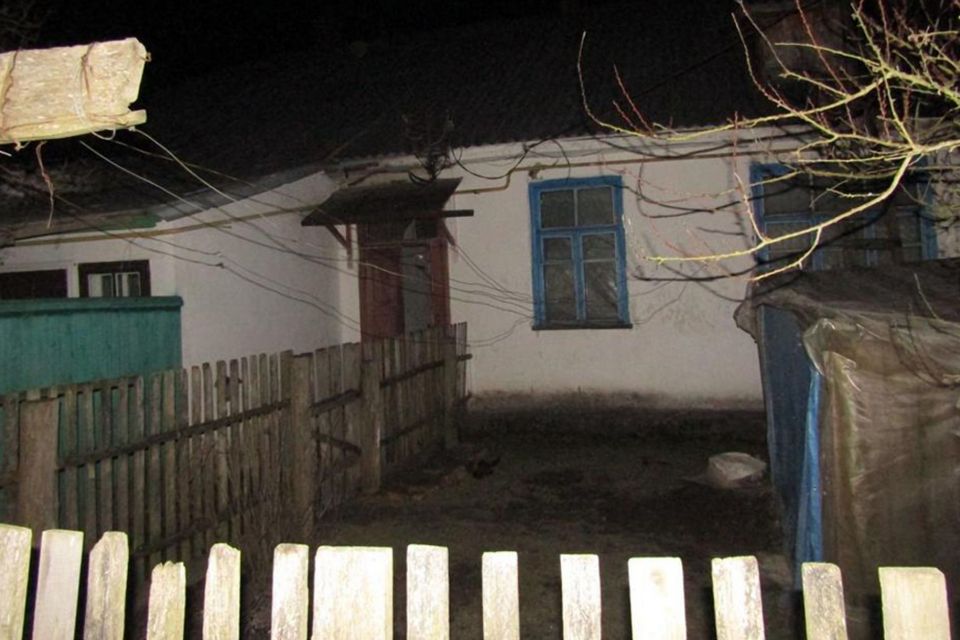 Після застілля побив палицею: на Звягельщині 56-річна жінка зазнала численних травм від співмешканця