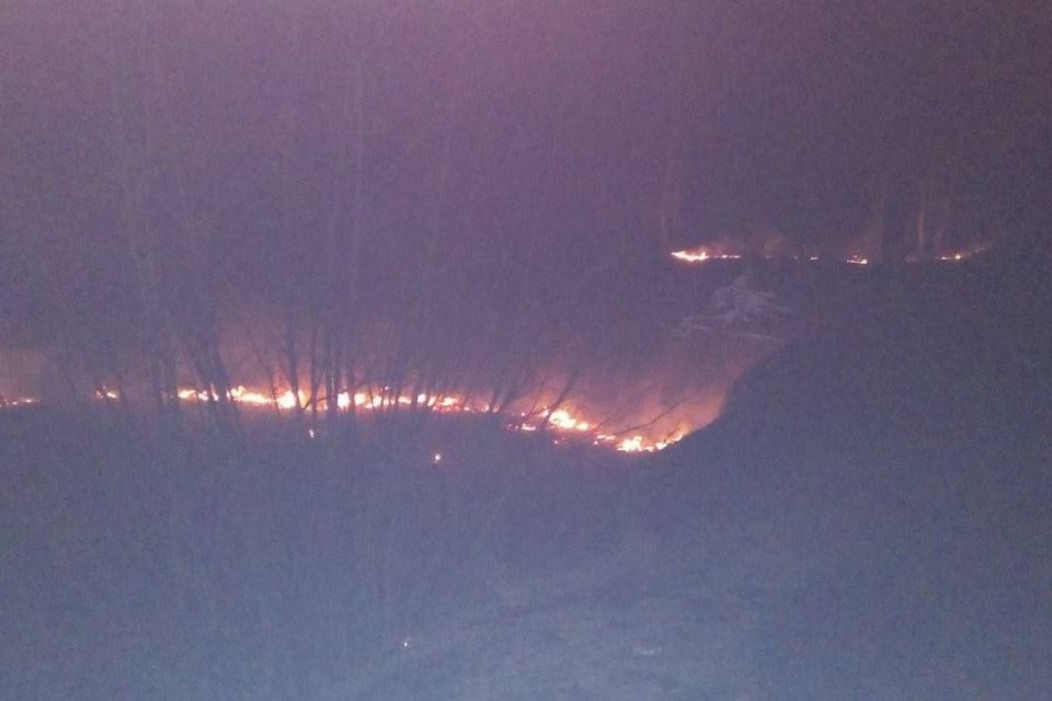 На Житомирщині за добу виникло чотири загоряння сухостою на загальній площі 7 га