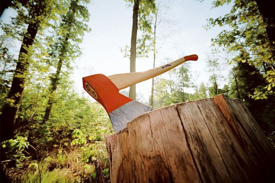 У лісі на Ємільчинщині місцевий житель смертельно травмувався під час валки дерева