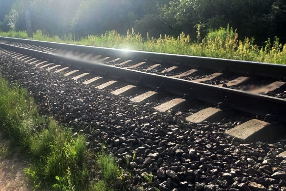 На Звягельщині на залізничних коліях загинув чоловік