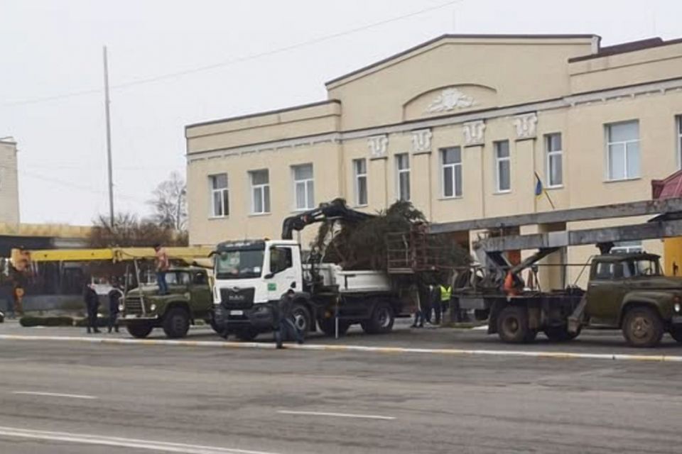 У Малині встановили новорічну ялинку