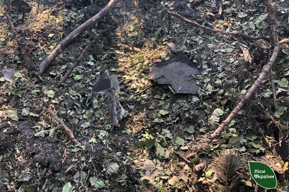 Лісові масиви на Житомирщині знову постраждали від уламків збитих дронів