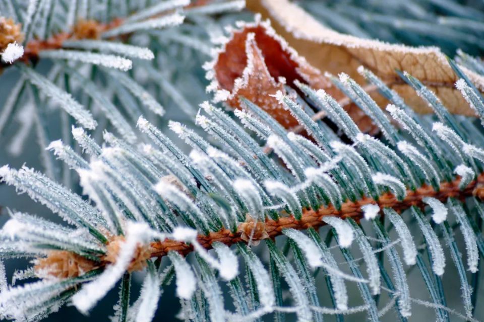 Погода у Житомирі: хмарно з проясненнями, без опадів