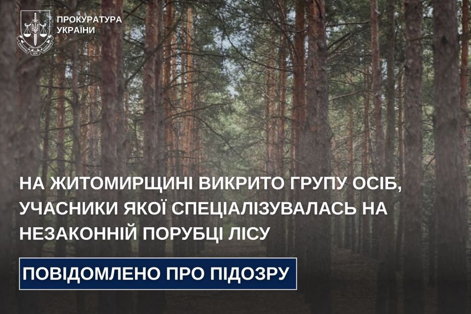 На Житомирщині викрито групу осіб, учасники якої спеціалізувалась на незаконній порубці лісу