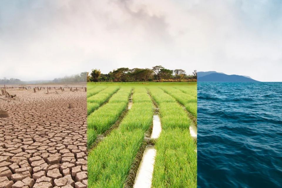 На Україну чекає зміна клімату до 2040 року