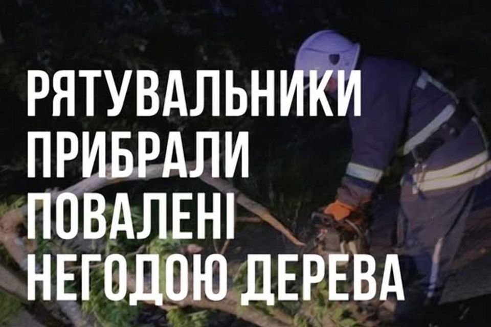 За добу рятувальники двічі прибирали повалені вітром дерева
