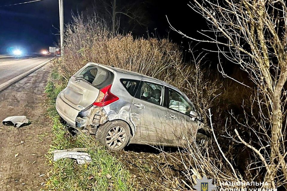 На Бердичівщині внаслідок зіткнення легковика з возом загинули керманич гужового транспорту і кінь