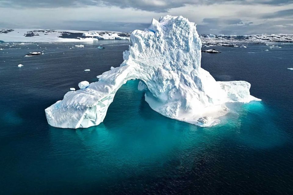 У Житомирі безоплатно покажуть документальний фільм Антона Птушкіна про Антарктиду — історію життя на краю світу