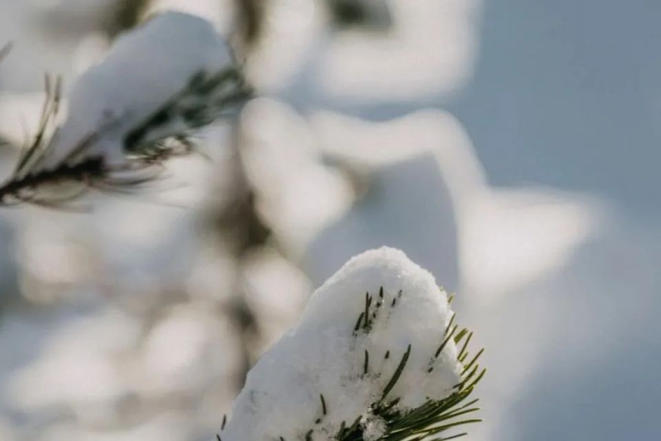 Завтра, 8 січня, південний циклон зумовить в Україні погіршення погоди — опади у вигляді снігу і дощу