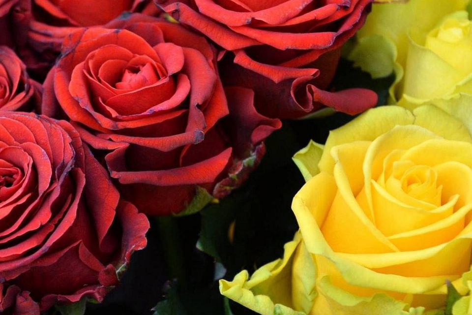 Внаслідок тяжкої хвороби у Житомирі помер Захисник Ігор Кравчук