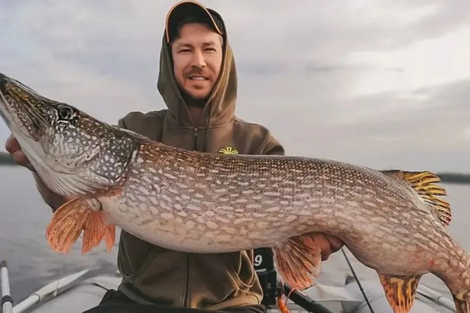 З 15 лютого стартувала нерестова заборона на вилов щуки