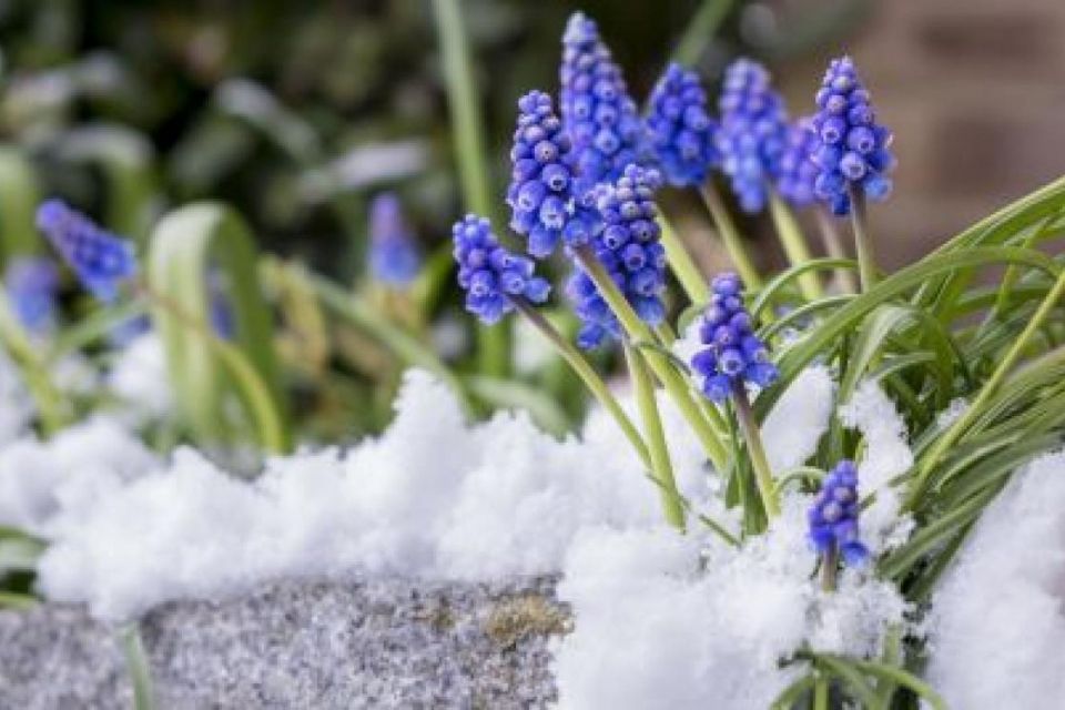 11 березня: все про цей день, яке церковне свято, прикмети і погода у Житомирі