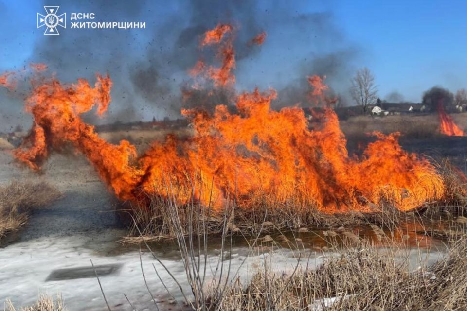 У Звягельському районі під час самостійного гасіння сухотрав`я травмувався чоловік