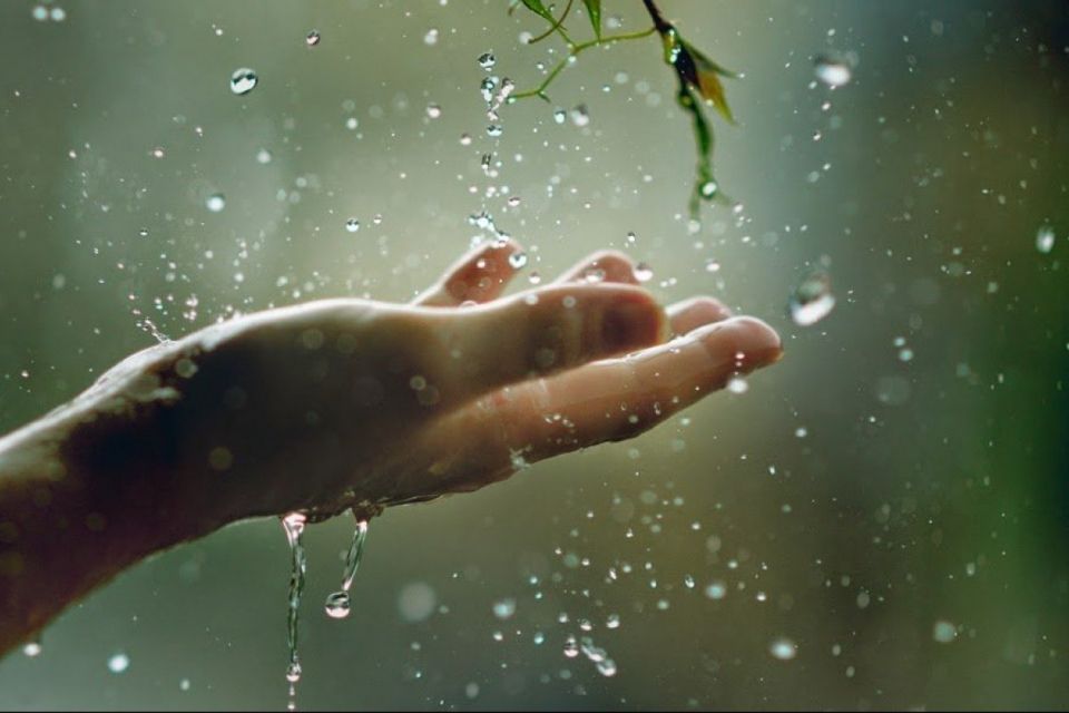 В Україні дещо похолодає, пройдуть дощі