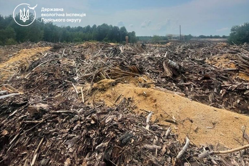 Державі має бути відшкодовано понад 1,5 млн грн збитків за засмічення лісу на території Овруцької громади