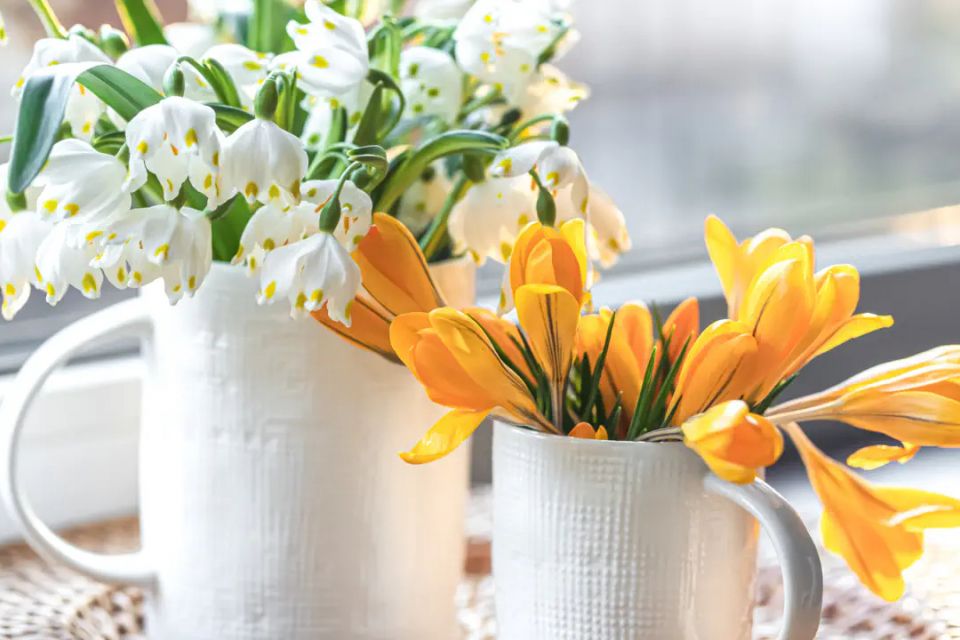 24 березня: все про цей день, яке церковне свято, прикмети і погода у Житомирі