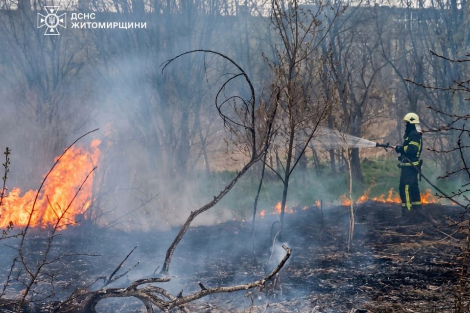 Минулої доби на Житомирщині зафіксовано 9 пожеж, у 5-х з них горіла суха трава