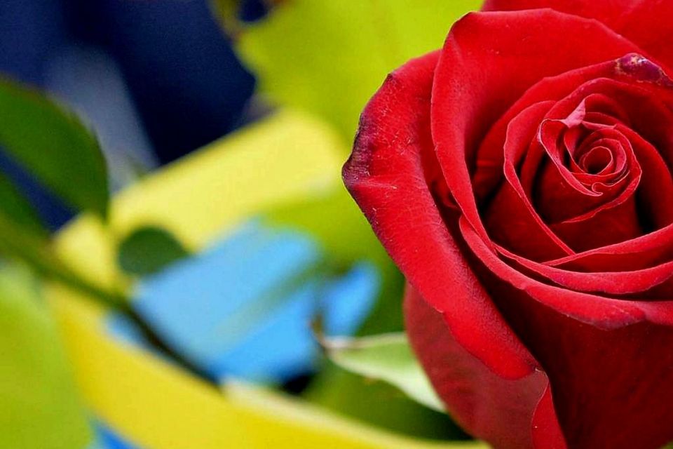 Лише через 20 місяців на щиті повернувся до Житомирі Герой Микола Поляновський