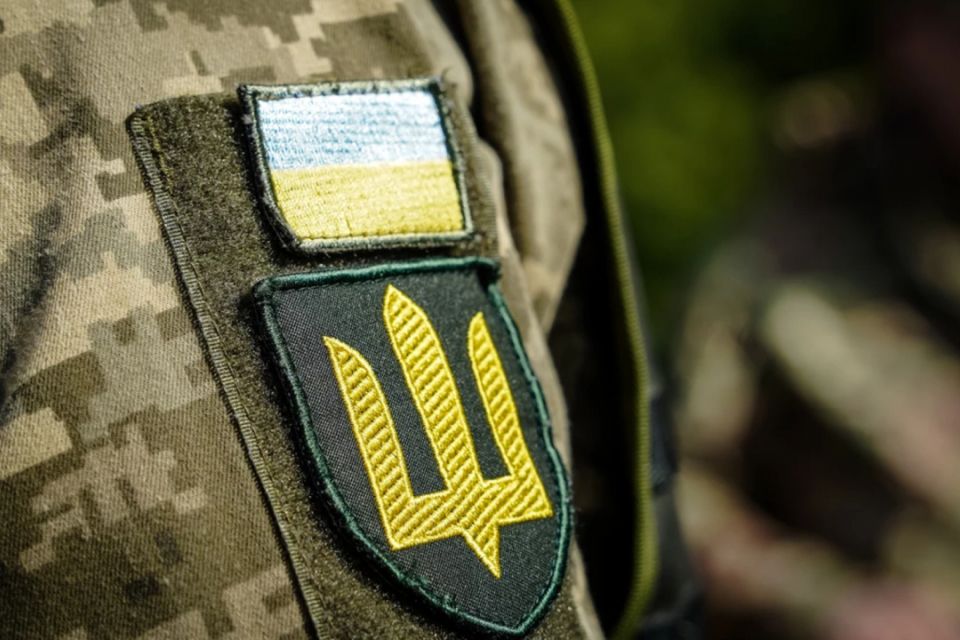 Як працює державна програма підвищення кваліфікації для ветеранів й ветеранок та їхніх сімей