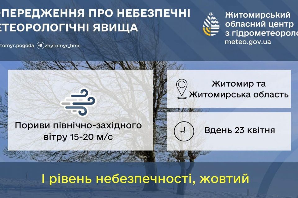 Увага! На Житомирщині — сильний вітер: куди звертатися у разі виявлення обірваного проводу