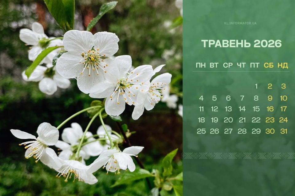 Зміни травня - 2026: мобілізація по-новому, втрата субсидій та безкоштовні ліки