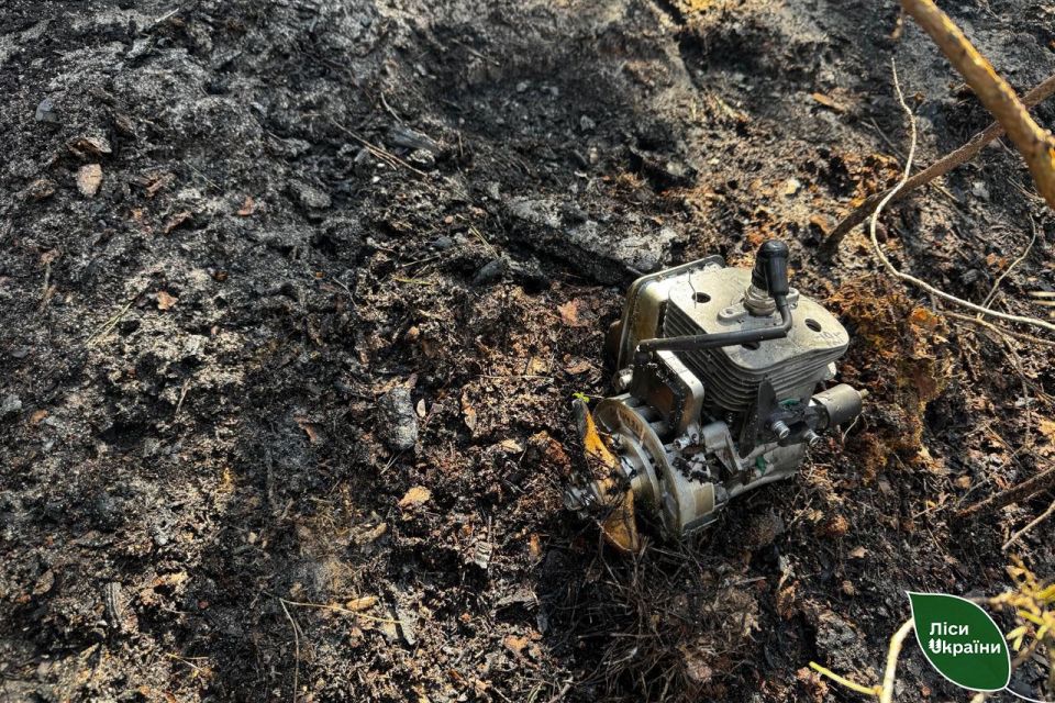 Через наслідки дронової атаки сталася лісова пожежа у Левківському лісництві: її загасили за кілька годин