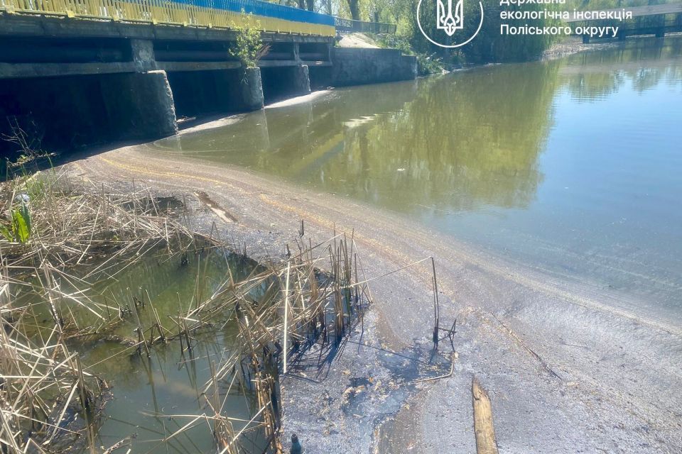 Екологи підтвердили масову загибель водних біоресурсів у річці Мика на Житомирщині