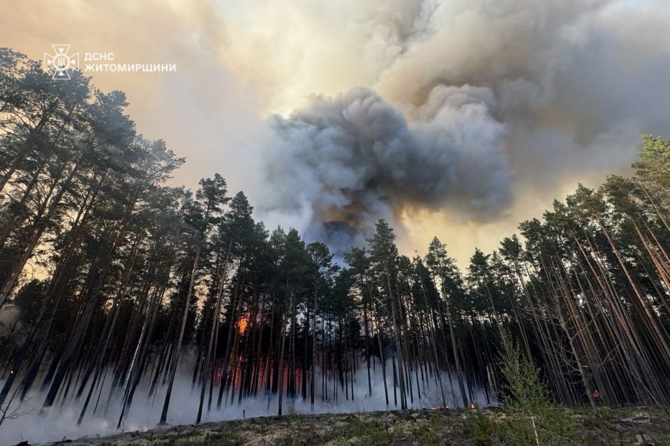 На Житомирщині триває ліквідація масштабної лісової пожежі