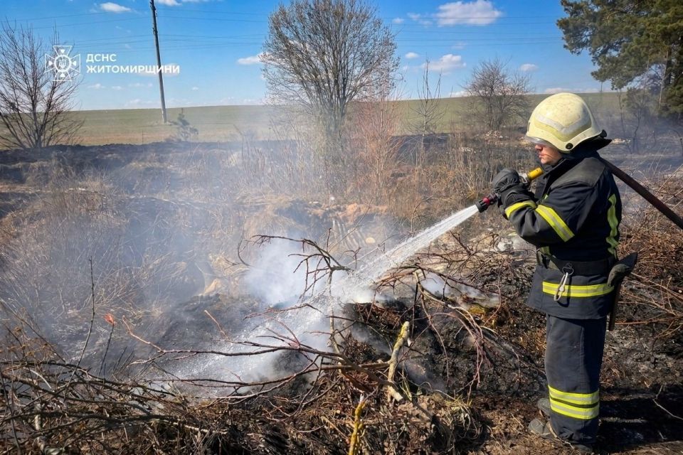 У Коростені ліквідували пожежу на 1,5 гектара відкритої території