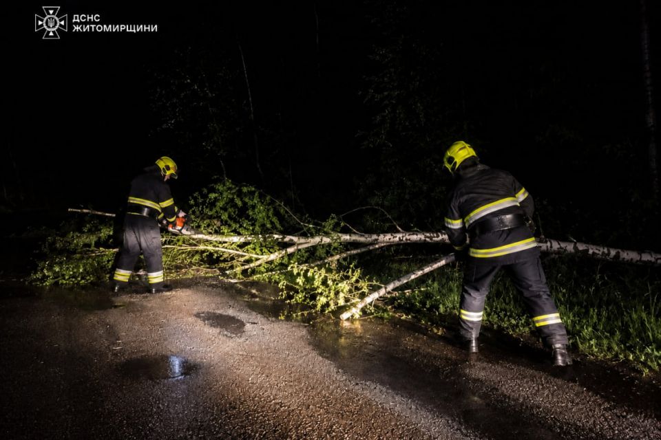 Повалені вітром дерева перекривали дороги — рятувальники Житомирщини двічі виїжджали на ліквідацію наслідків негоди