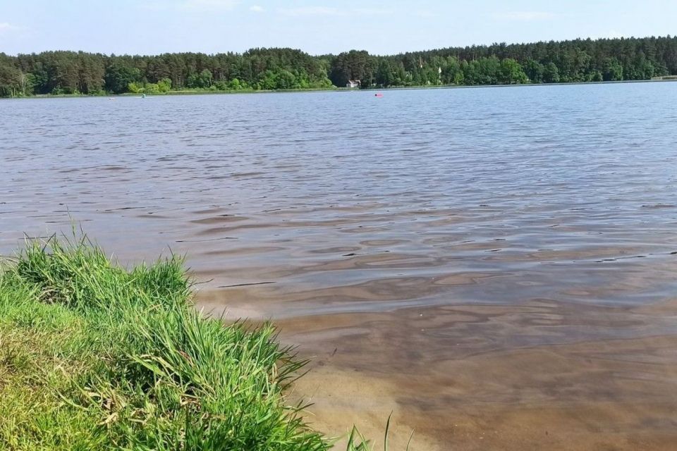 У Житомирі вода на дитячому і дорослому пляжах в гідропарку не відповідає нормам