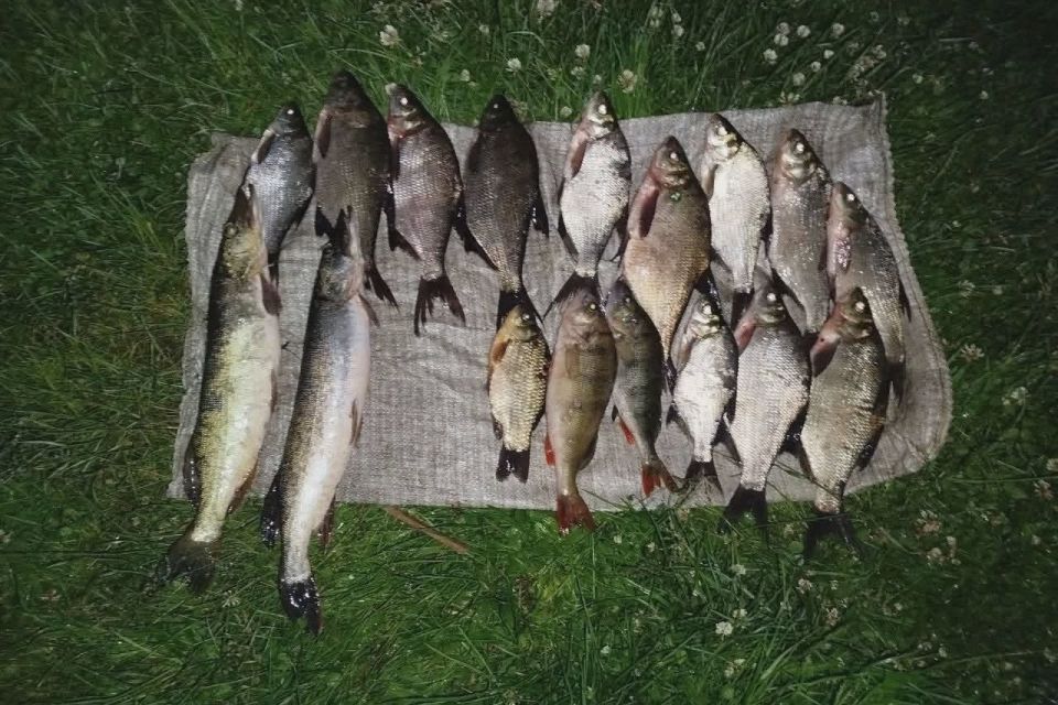 На Іршанському водосховищі виявлено грубе порушення правил рибальства