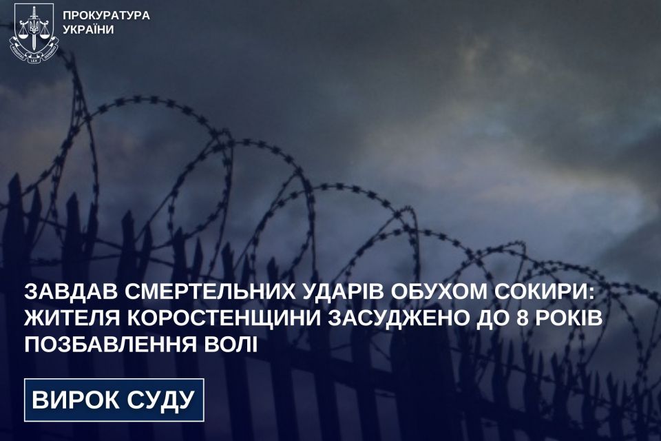 Жителя Коростенщини, який завдав знайомому смертельних ударів обухом сокири, засуджено до 8 років позбавлення волі