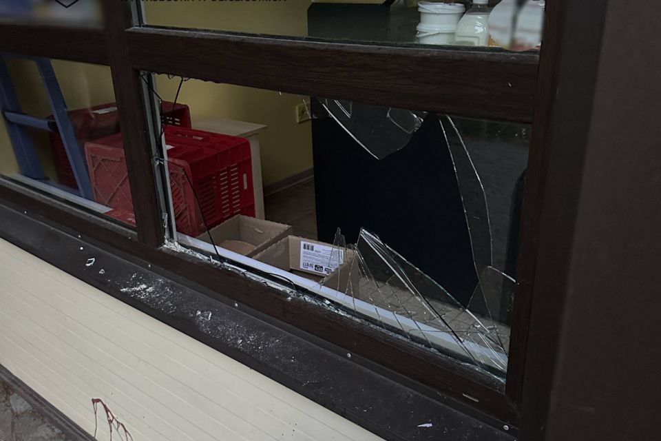 Поліція охорони Житомирщини затримала нічного крадія з Київщини