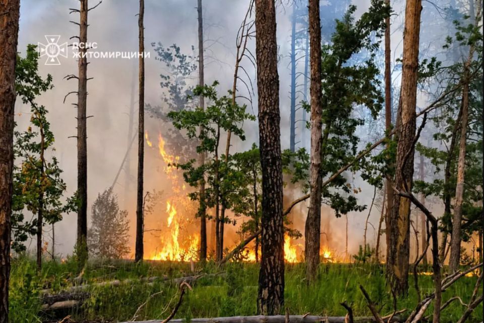 Рятувальники спільно з лісівниками 4 дні працювали над ліквідацією лісової пожежі у Коростенському районі