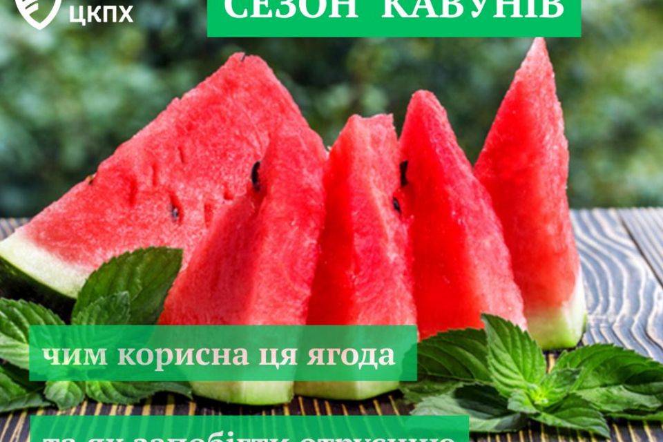 Сезон кавунів: чим корисна ця ягода та як запобігти отруєнню