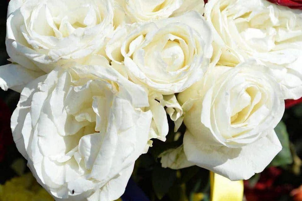 Лише через рік і два місяці на щиті повернувся до рідного Житомира Герой Сергій Федоров