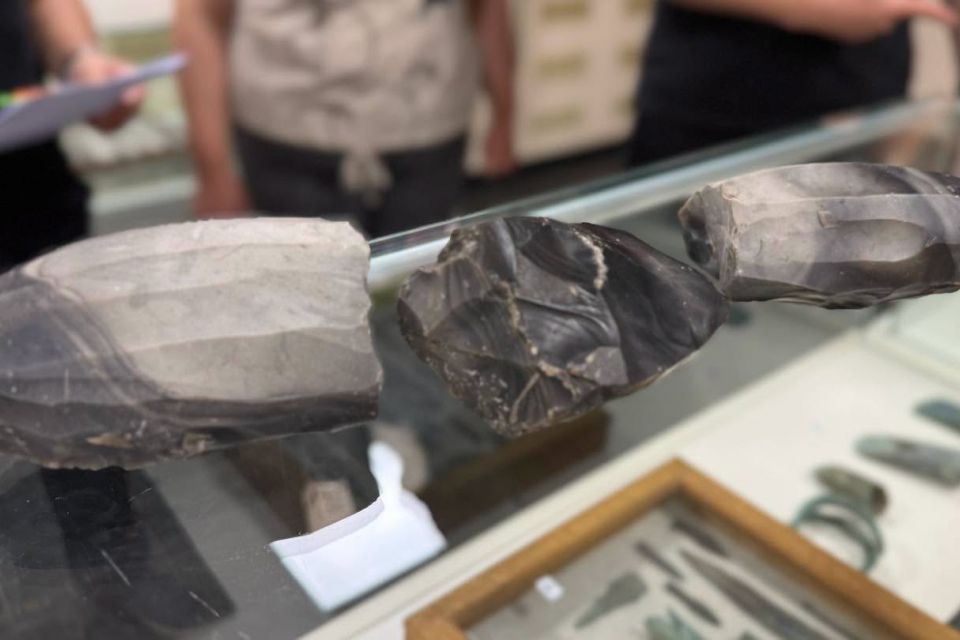 Київські митники передали музею на Житомирщині археологічні артефакти 6 тисячоліття до н.е.