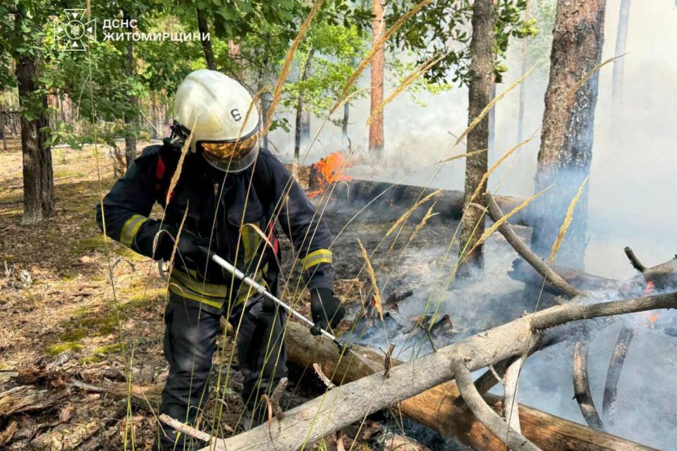 У Коростенському районі триває ліквідація лісової пожежі на території природного заповідника «Древлянський»