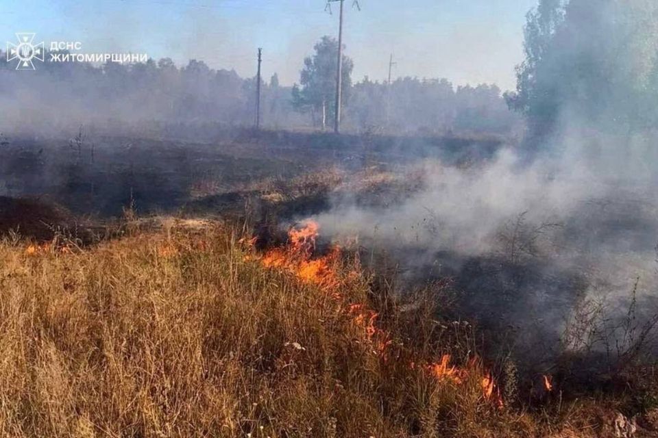 У селі Бердичівського району 46-річна жінка травмувалася під час гасіння пожежі сухостою